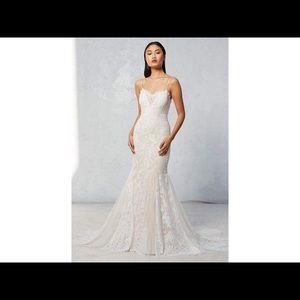 Ivy & Aster Wedding Dress